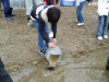 “「ハチゴロウの戸島湿地」整備の一環として、魚類の放流に参加しました