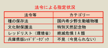 法令等による指定状況