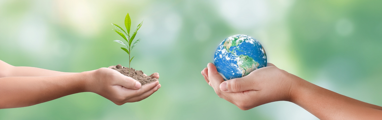 SOCIAL CONTRIBUTION 社会貢献