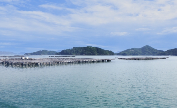 守ろう！広島カキ緊急支援