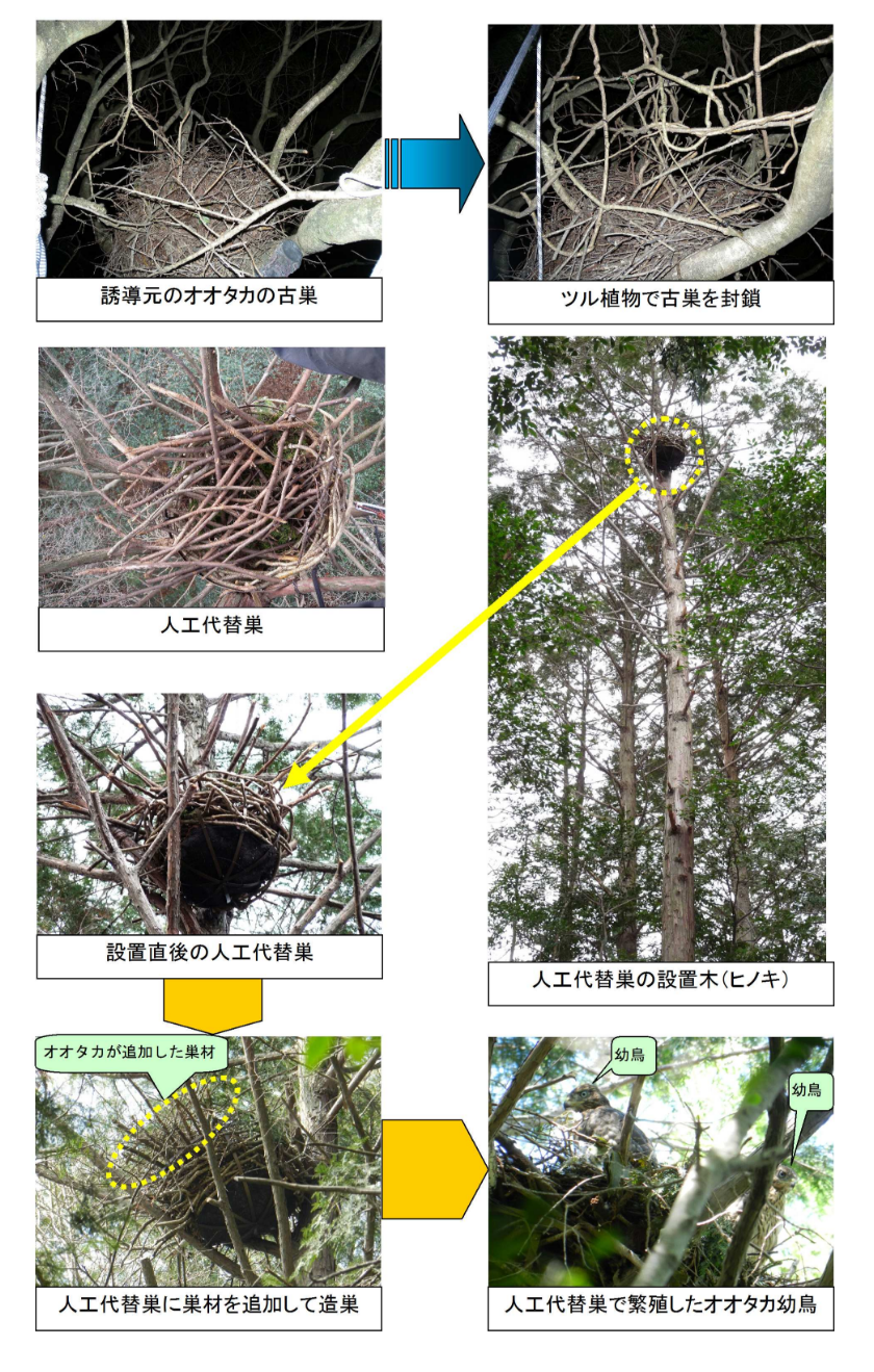 生物環境 | 復建調査設計株式会社