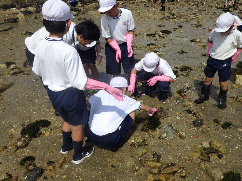生物観察の様子