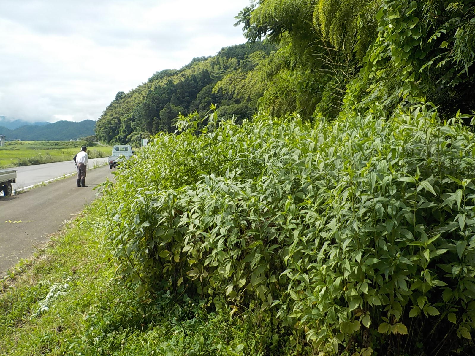 作業前の状況