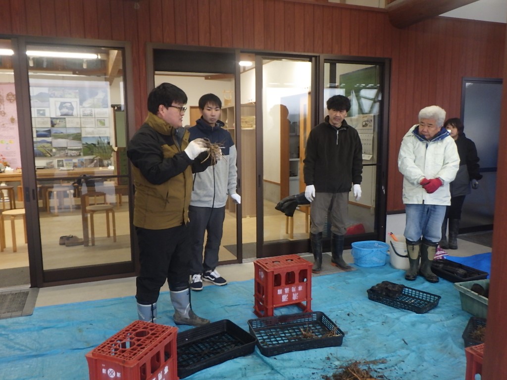 作業の様子