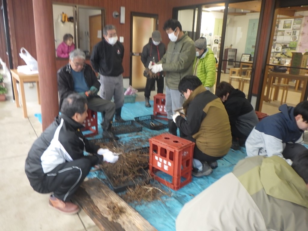 作業の様子