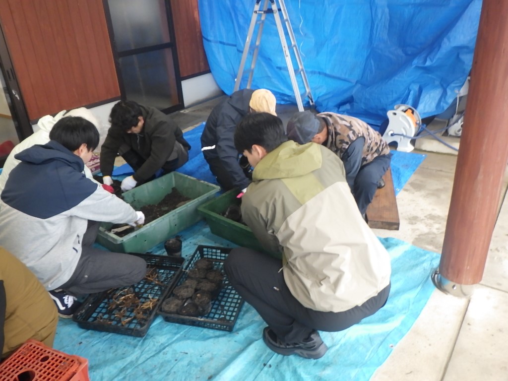 作業の様子