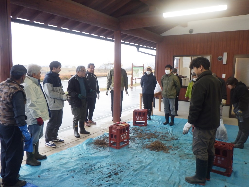 作業の様子