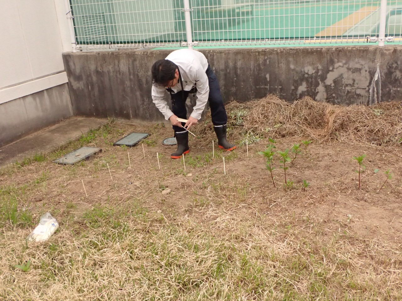 作業の様子