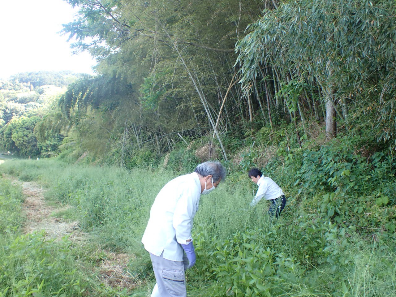 作業の様子