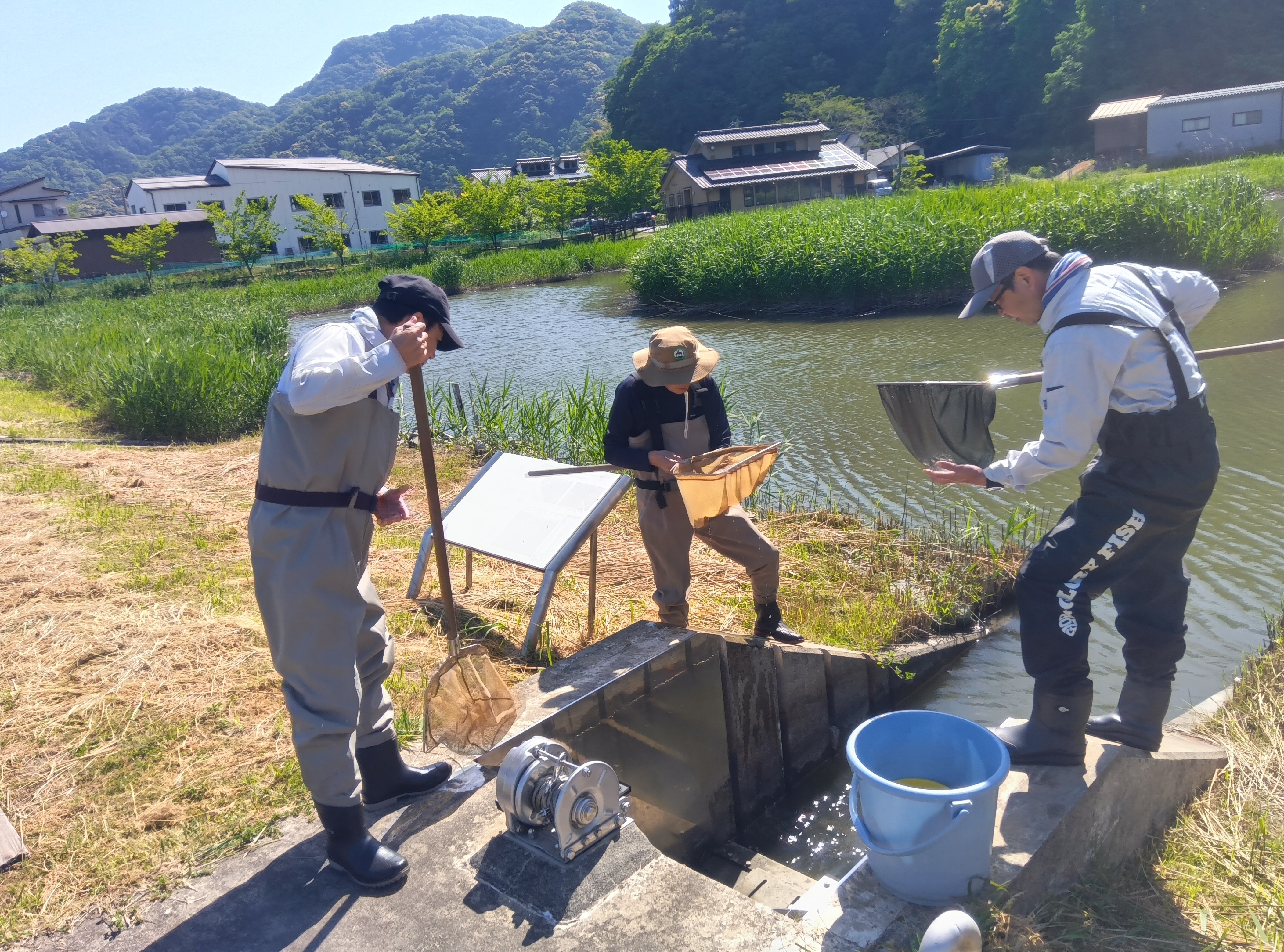 作業の様子