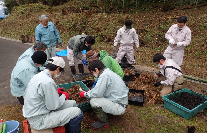 豊岡市の生物多様性に関連するボランティア活動＜フジバカマ株分け作業の講師を務めました＞