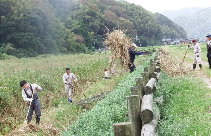 豊岡市の生物多様性に関連するボランティア活動