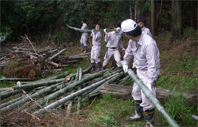 竹刈り等のボランティア活動