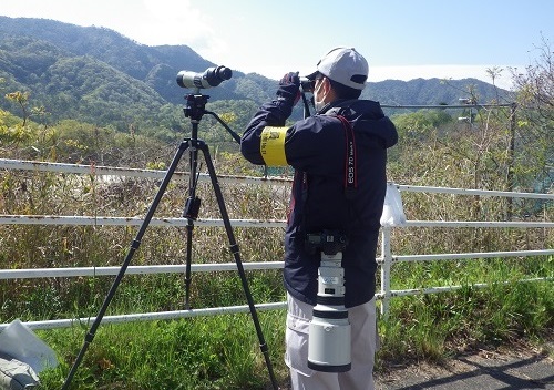 太陽光発電所事業に係る環境調査（岡山県内）