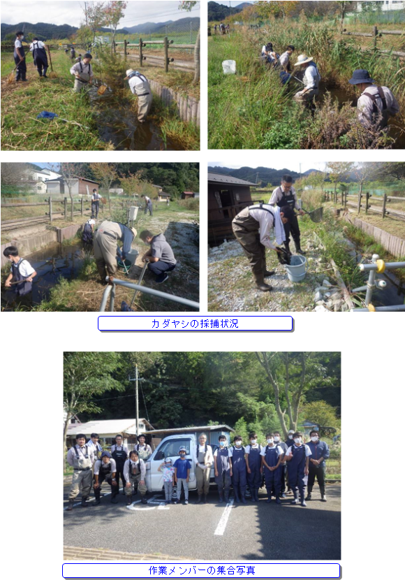 外来種駆除作業の様子2