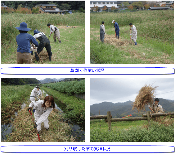 草刈りの様子