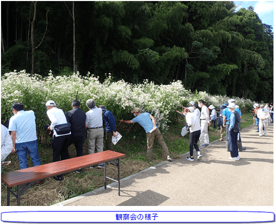 観察会の様子